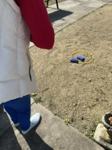 20250430 BNuitenhof Koningsspelen 3