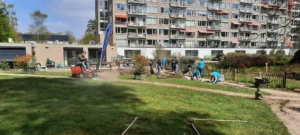 20250430 Buitenhof Auitotaalglas 04