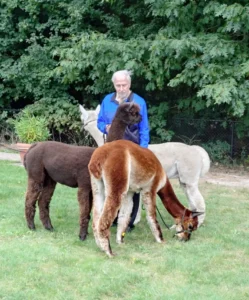 Alpaca's gesponsord door Adriaan Vuik 18 augustus 2025