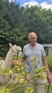 Alpaca's gesponsord door Adriaan Vuik 18 augustus 2025