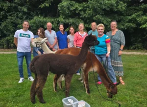 Alpaca's gesponsord door Adriaan Vuik 18 augustus 2025