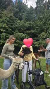 Alpaca's gesponsord door Adriaan Vuik 18 augustus 2025