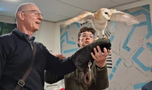 11 februari 2026 was er een roofvogelshow van De Valkenhof.