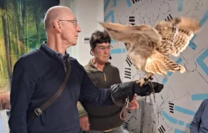 11 februari 2026 was er een roofvogelshow van De Valkenhof.
