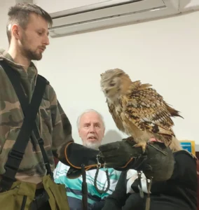 11 februari 2026 was er een roofvogelshow van De Valkenhof.