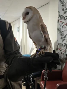 Ook op 2 maart 2026 was er een roofvogelshow van De Valkenhof.