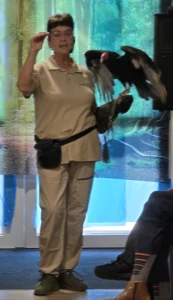 Ook op 2 maart 2026 was er een roofvogelshow van De Valkenhof.