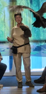 Ook op 2 maart 2026 was er een roofvogelshow van De Valkenhof.