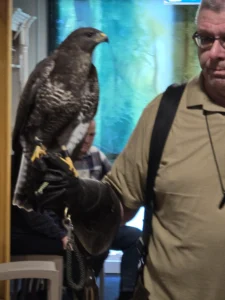 Ook op 2 maart 2026 was er een roofvogelshow van De Valkenhof.