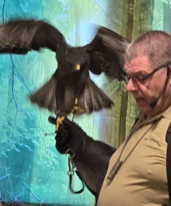 Ook op 2 maart 2026 was er een roofvogelshow van De Valkenhof.