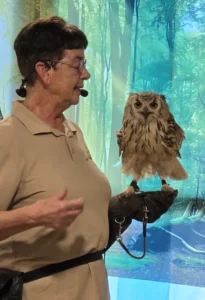 Ook op 2 maart 2026 was er een roofvogelshow van De Valkenhof.